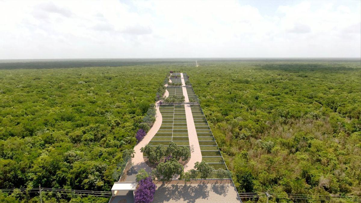 Terrenos en venta en Cancun en Punta Palmar Caribe de 300 m2