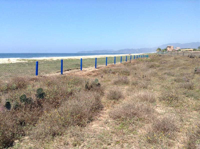 Playa Blanca, Bahía de Potosí, Zihuatanejo, Gro. Vendo terreno con playa 2500 m2 (20 m x 125 m)