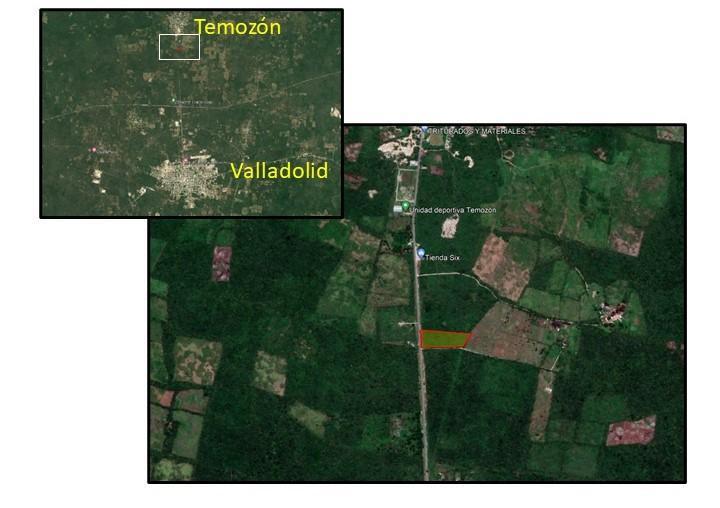 Amplio terreno en venta en Temozón, Yucatán.